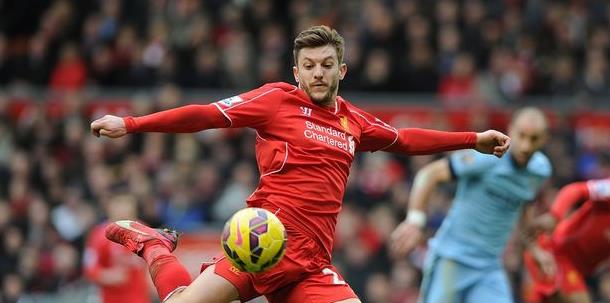鸡舍和饲料 鸡舍和饲料